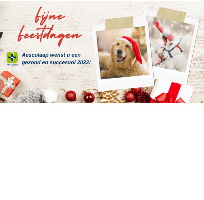 Fijne feestdagen 2021