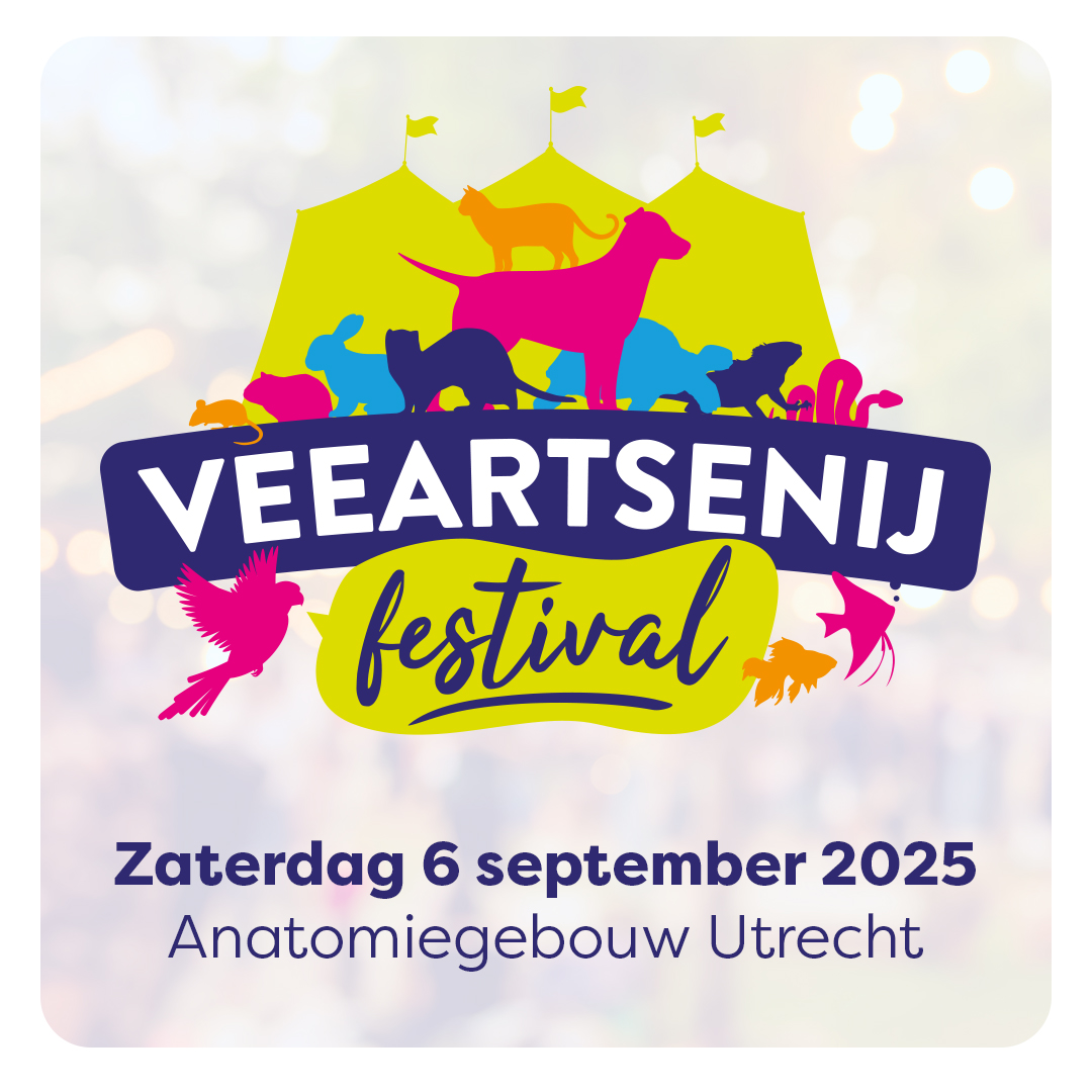 Veeartsenij Festival September 6